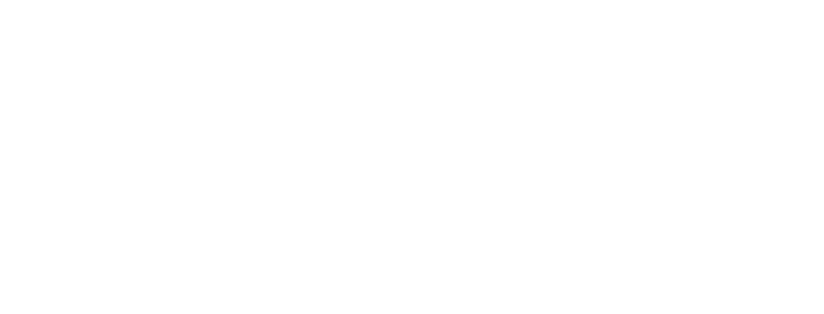 The Free Website Guys